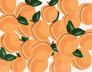 Peach fruit pattern. Vector