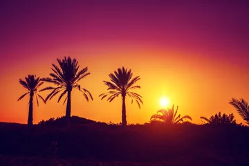 Foto op Aluminium Palmboom Silhouet van palmbomen bij zonsondergang