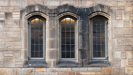 Fototapeta na wymiar Tree windows in Neo-Gothic 