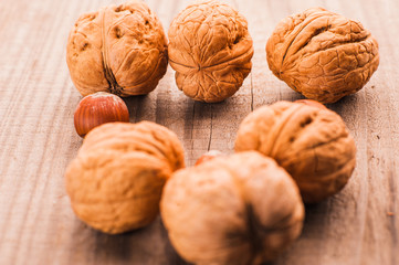 A mixture of walnuts and hazelnuts