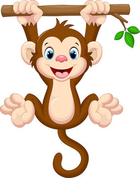 Monkey Clipart Images – Browse 17,699 Stock Photos, Vectors, and Video |  Adobe Stock