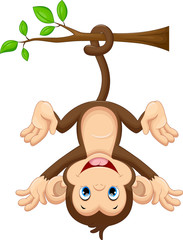 Naklejka premium Cute baby małpa wiszące na drzewie