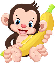Fototapeta premium Cute monkey holding a banana