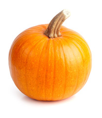 Ripe orange pumpkin