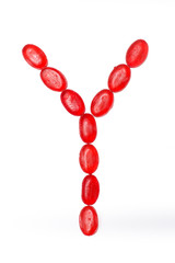 Y letter made of colors candy