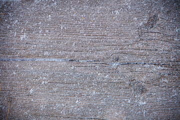 snow-covered wooden board background