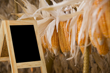 Write a black plank floor, behind corn, colorful blur