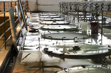 Cleaning of stainless steel fermentation vessels for wine