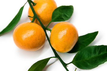 Fresh orange mandarine with leaf isolated on white background