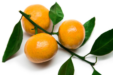 Fresh orange mandarine with leaf isolated on white background