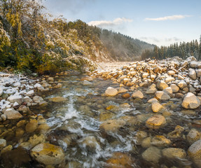 mountain stream in the Tatras
