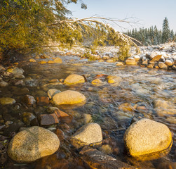 mountain stream in the Tatras
