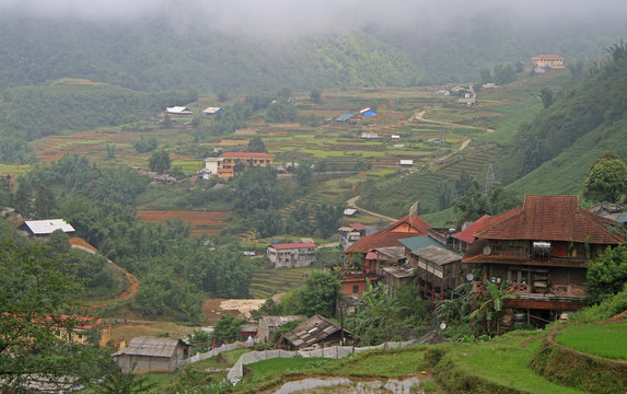rice fields nearly Sa Pa town