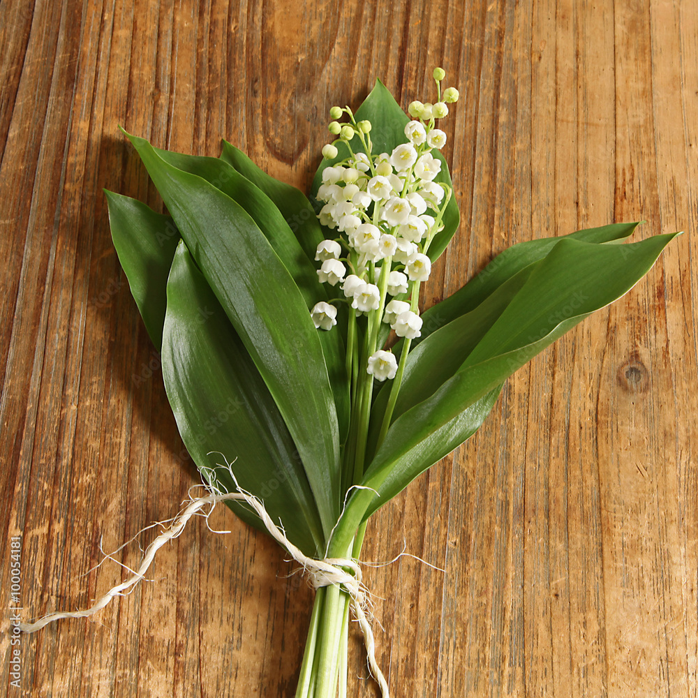 Poster Bouquet de muguet