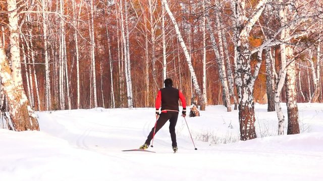 Skiing young people in the forest