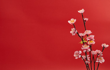 Fototapeta premium Chinese new year's decoration for Spring festival