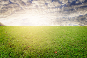 beautiful landscape of nature