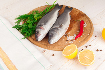 Two fresh sea bass on a white background. 
