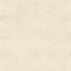 Vintage Bisque Cream Buckskin Parchment Paper Background