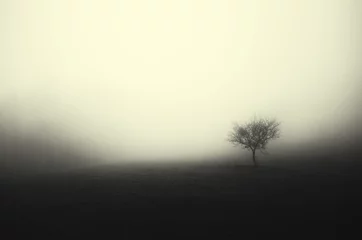 Foto op Aluminium minimale donkere landschapsboom in mist © andreiuc88