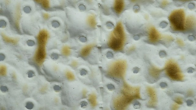 Matzen, unges&auml;uertes Brot