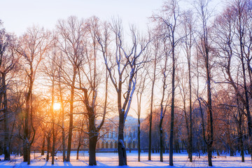 Mikhailovsky Garden in St. Petersburg. winter sunrise