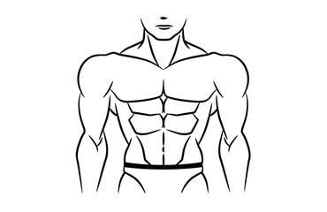 Perfect abdominal muscles is six pack of bodybuilder. This illustration in linear style on isolated.