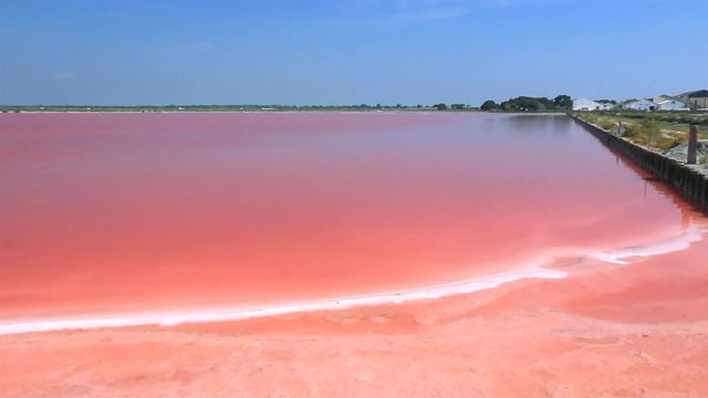 Marais salants en Camargue