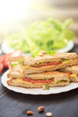 Cheese sandwich photo