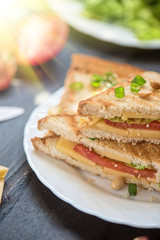 Cheese sandwich photo