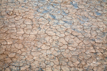 Surface of dried ground
