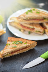 Cheese sandwich photo