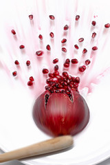 Ripe pomegranate fruit bursting - obrazy, fototapety, plakaty