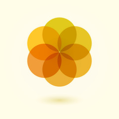 Flower of Life.Vector illustration