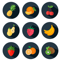 Fruits and berries Icons in flat style. Set of food icons with long shadows. Vector illustration