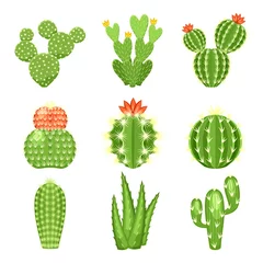 Foto op Canvas Vector icon set van gekleurde cactus en succulent © primulakat