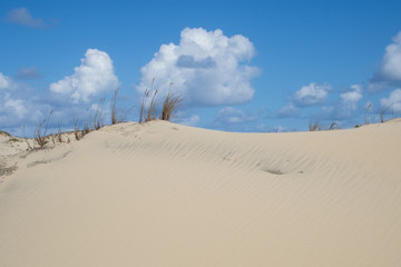 sand and clouds - Dune du Pyla - sand dune at coast of Atlantic Ocean, Aquitaine, France