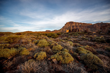 Teide national park