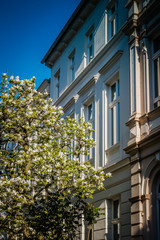 Gründerzeitfassaden Bonner Südstadt