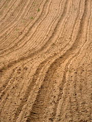 freshly plowed brown arable land