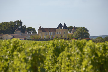 Bordeaux Chateau Yquem
