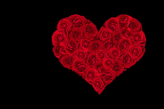 Valentines Day Heart made of Red Roses.  Black background.