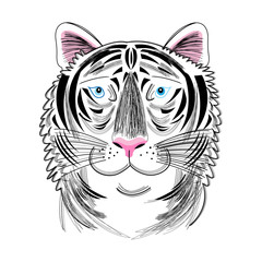 portrait of tiger