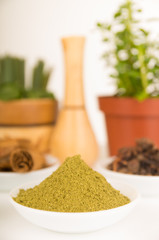 Beautiful delicate colorful display of different spices red orange brown in white bowls, shot from above side angle, plants and bright background