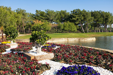 playing golf on a golf course