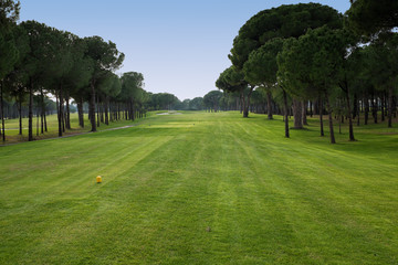 playing golf on a golf course