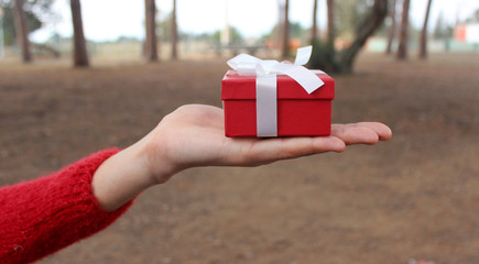 Female hand holding a red present box