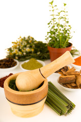 Wooden spice grinder with green herbs inside on white surface sorrounded by spices and plants