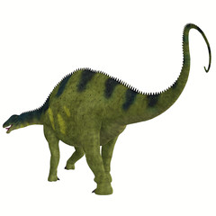 Brachytrachelopan Dinosaur Tail - Brachytrachelopan was a herbivorous sauropod dinosaur that lived in Argentina during the Jurassic Period. © Catmando