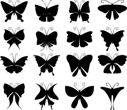 Silhouettes icon of butterflies vector design